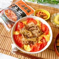 Snapdish編集部のレシピ・料理まとめ「牛丼を超えた自由な食べ方、無限大！簡単＆美味な「おうち𠮷野家」が楽しすぎる♪」のメイン料理写真