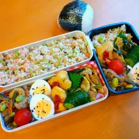 次男・私弁当&おにぎり