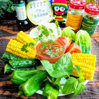 🌏『世界の食卓探検隊』🇱🇦ラオス料理
【🇱🇦夏野菜＆ティエオソム】|ayaさん